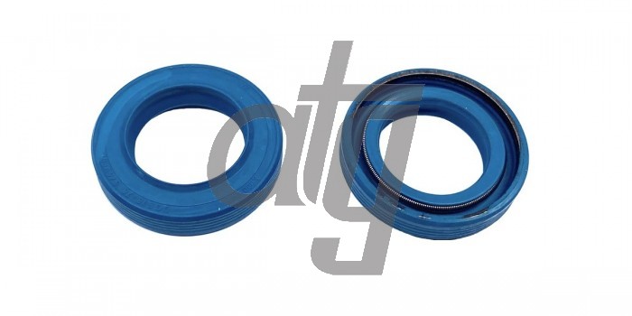 Power steering oil seal