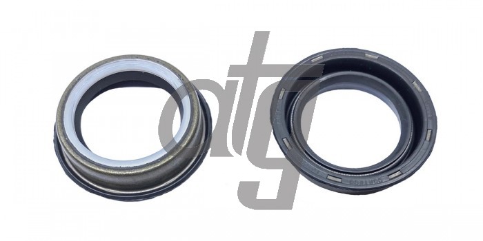 Power steering oil seal