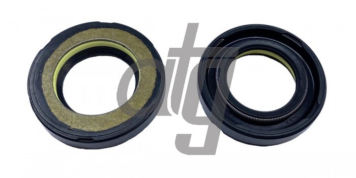 Power steering oil seal