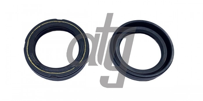 Power steering oil seal