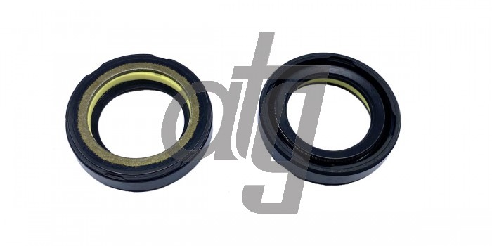 Power steering oil seal